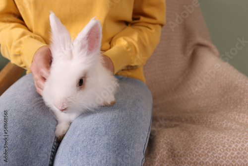 Woman with fluffy white rabbit, closeup and space for text. Cute pet