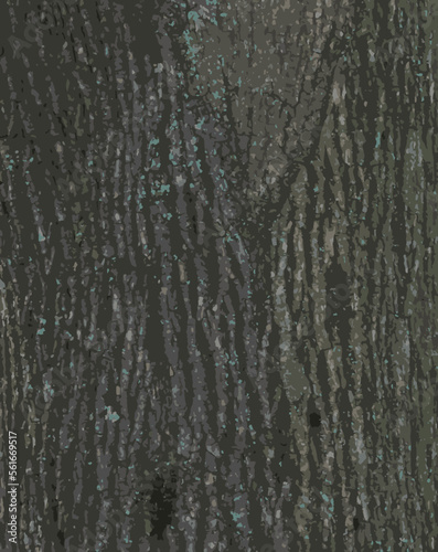 Realistic vector illustration of maple bark close up. Acer barrel texture. Background from living wood. Skin of the forest nature.