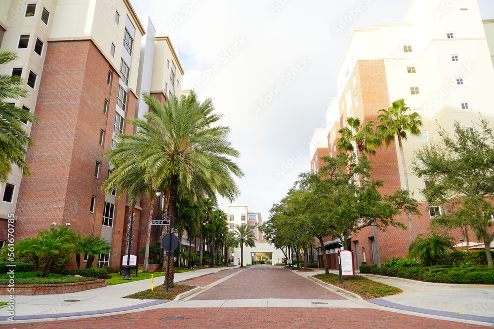 Tampa, Florida USA - Dec 30, 2022:  the Landscape of University of Tampa, a medium-sized private university offering more than 200 programs of study, located at Tampa Downtown