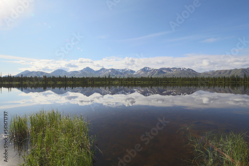 Fototapeta Naklejka Na Ścianę i Meble -  mountains in alaska with water reflection 