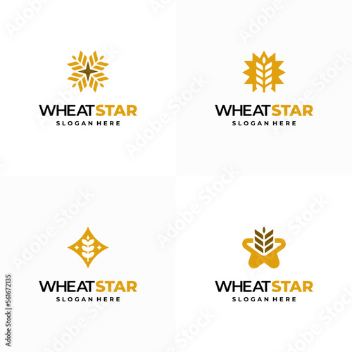 Set of Wheat Grain Star logo designs concept vector, Agriculture wheat Logo Template vector icon
