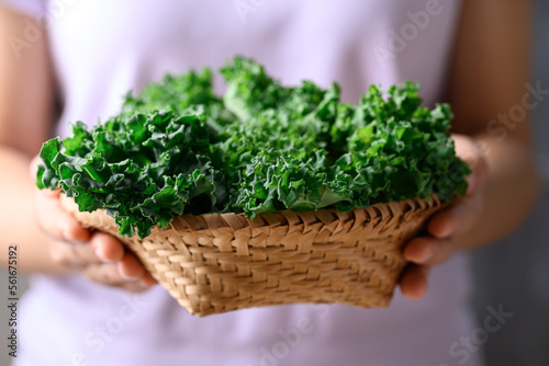 Green Kale or leaf cabbage in basket holding by woman hand, Healthy vegetable