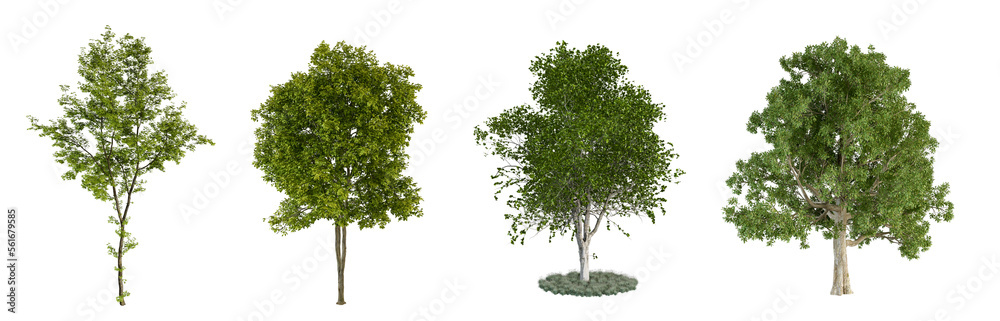 Obraz premium Set of green tree in 3d rendering
