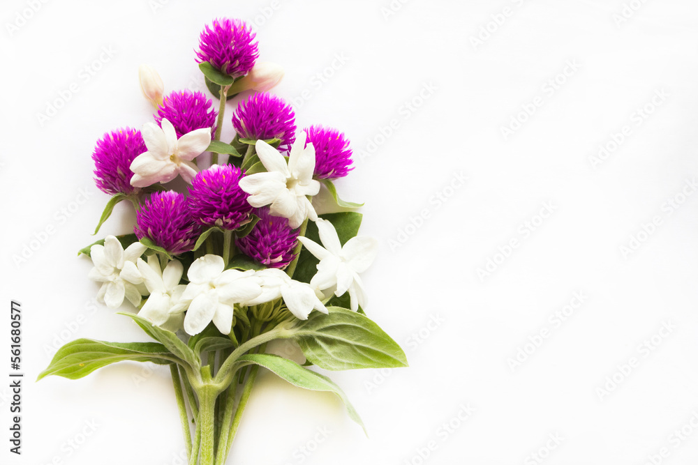 flowers jasmine, globe amaranth local flora of asia arrangement flat lay postcard style on backgorund white flowers jasmine, globe amaranth local flora of asia arrangement flat lay postcard style on backgorund white