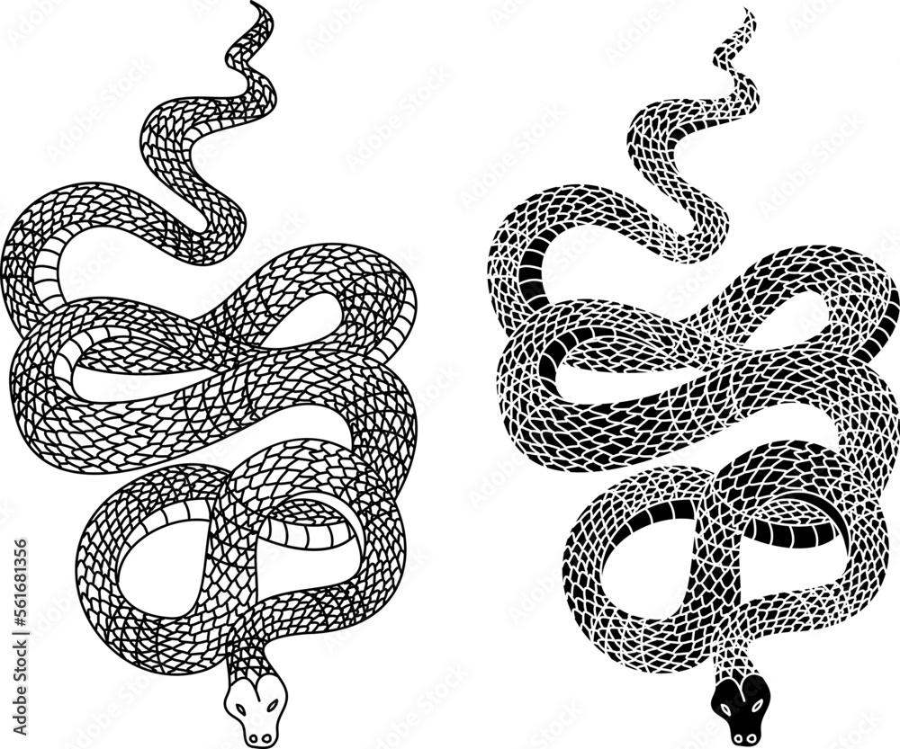 red snake vector.Lampropeltis triangulum vector.Sticker and hand drawn ...