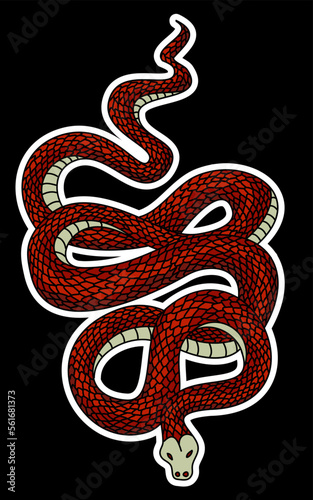 red snake vector.Lampropeltis triangulum vector.Sticker and hand drawn snake for tattoo.Red snake Reptile on white background. photo