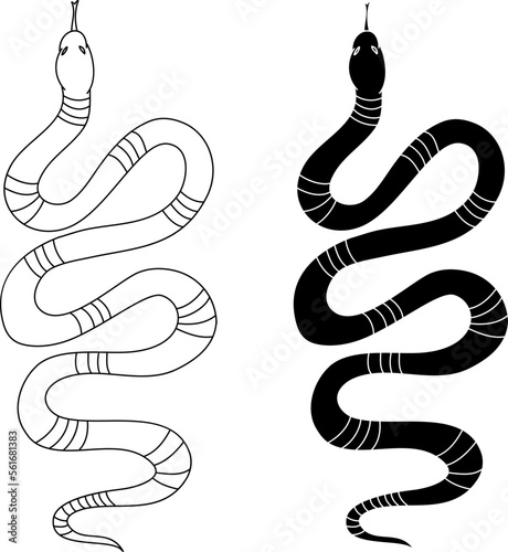 red snake vector.Lampropeltis triangulum vector.Sticker and hand drawn snake for tattoo.Red snake Reptile on white background. photo