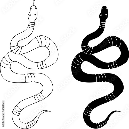 red snake vector.Lampropeltis triangulum vector.Sticker and hand drawn snake for tattoo.Red snake Reptile on white background.