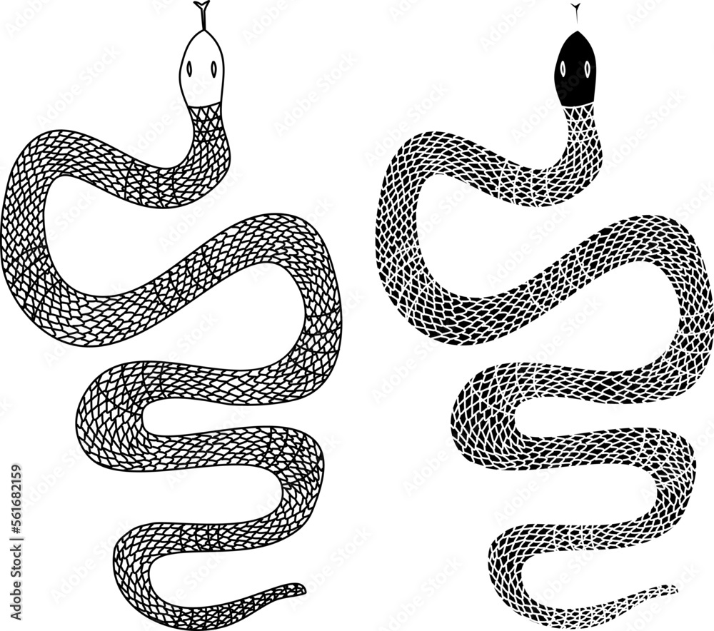 Red Ringed Snake Draw red snake vector.Lampropeltis triangulum vector.Sticker and hand drawn ...