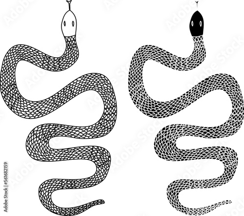 red snake vector.Lampropeltis triangulum vector.Sticker and hand drawn snake for tattoo.Red snake Reptile on white background.
