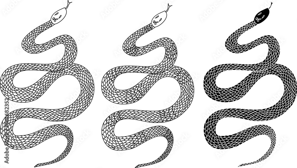 red snake vector.Lampropeltis triangulum vector.Sticker and hand drawn ...