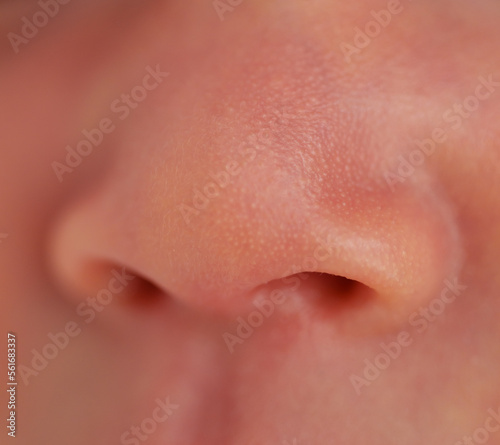 close up nose of baby