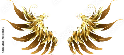 Foto Shiny Angel Wings