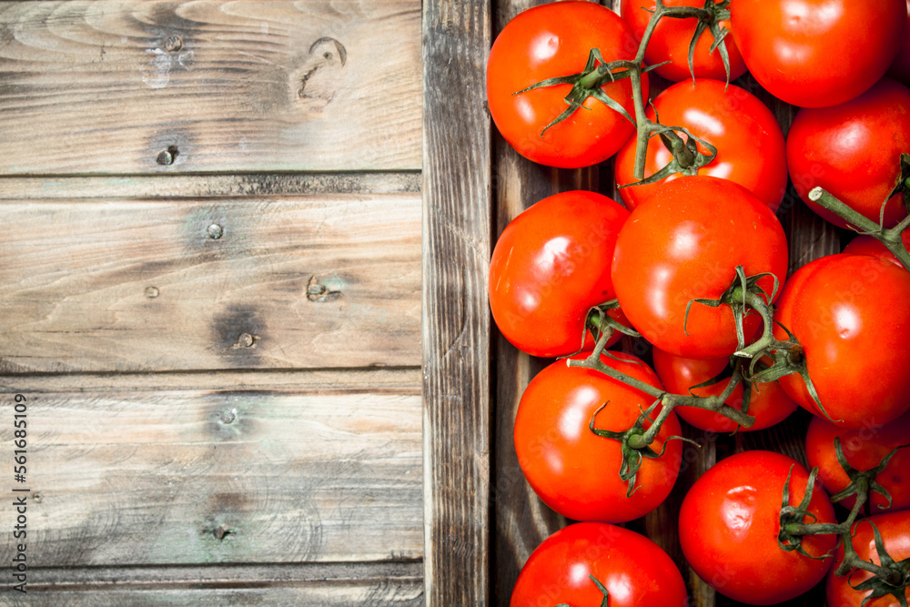 Fragrant red tomatoes on tray. Fragrant red tomatoes on tray.