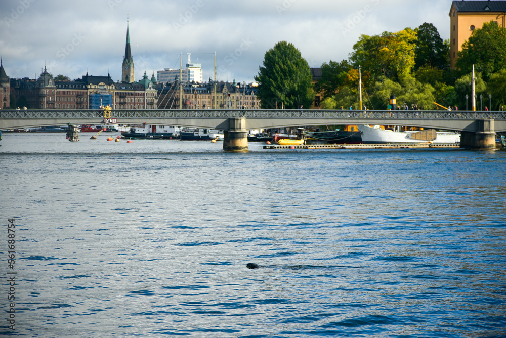 Fototapeta premium スウェーデンの首都ストックホルムの美しい風景
