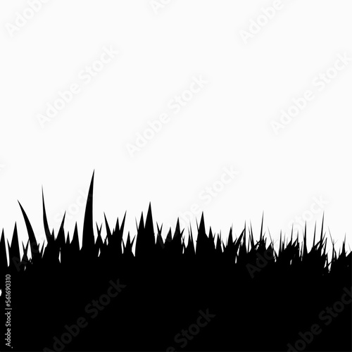 grass silhouette isolated on white