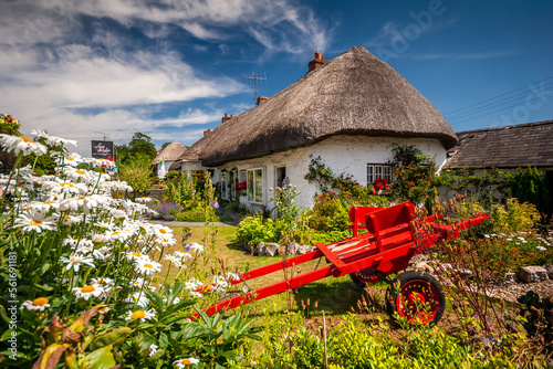 The Thatched roof cottages of Adare in Ireland photo
