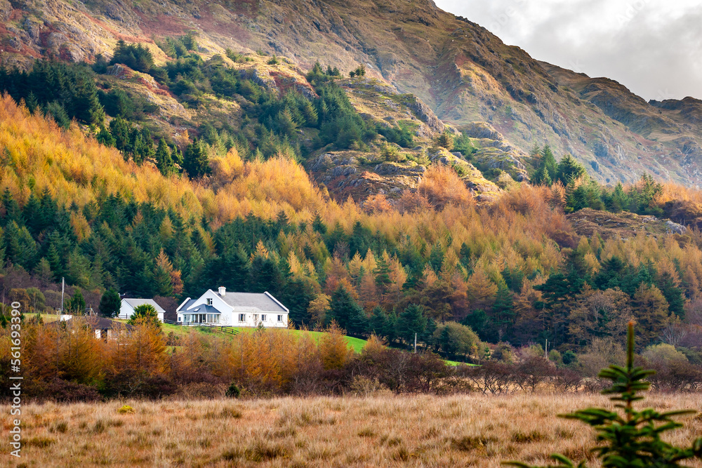 White house in a colorful Autumn landscape in the West of Ireland