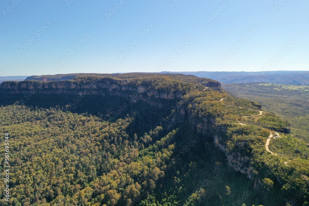 Deep forest and mountain