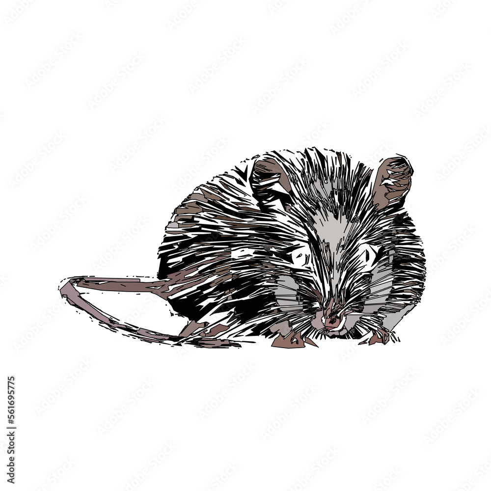 colored sketch of a mouse with a transparent background