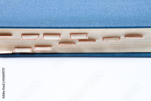 Book spines with page markers on bookmarks with path on white background. You can change the background as you like