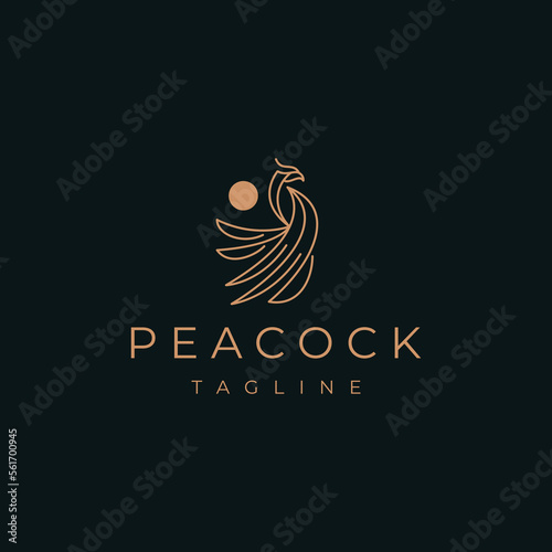 Abstract luxury peacock logo design template