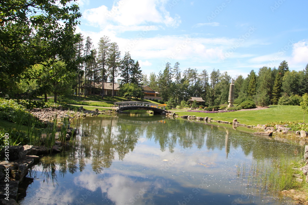 Fototapeta premium lake in the forest