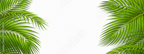 Tropical frame with green palm leaves. Tropical plant branches isolated on transparent background. Summer banner template with border of coconut palm foliage  vector realistic illustration