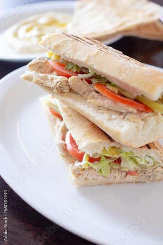 A view of a chicken panini sandwich.