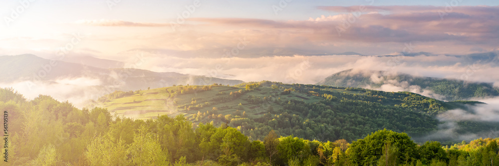 panorama of mountains in fog at sunrise. A foggy landscape Panorama. A fantastic dreamy sunrise on the mountains with a view of the misty valley below. Misty clouds over the forest. 