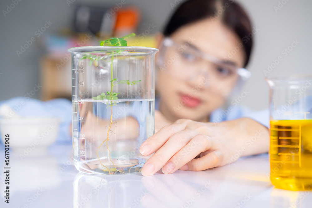 Biologist's holding young plant with root in test tube in lab, Biotechnology, plant care and protection concept. Biologist's holding young plant with root in test tube in lab, Biotechnology, plant care and protection concept.