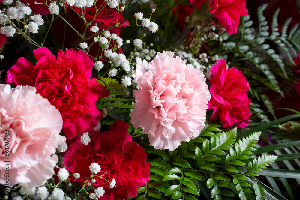 A view of a pink and red floral arrangement, featuring carnation and baby's breath. A view of a pink and red floral arrangement, featuring carnation and baby's breath.
