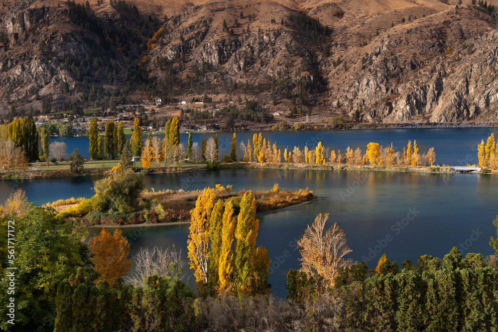 Fotografie Yellow trees by the river