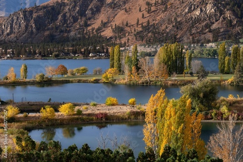 Fotografie Yellow trees by the river