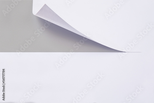 White paper, partly rolled up, cut with a knife and curled. Partially rolled up white paper