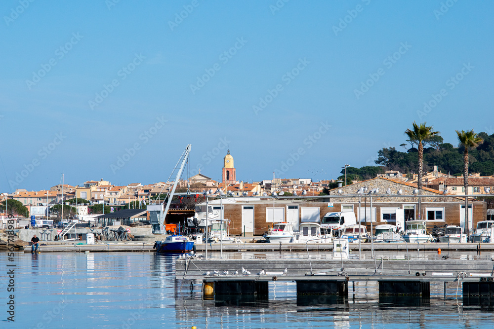 Saint Tropez view from far away with palm trees water and blue sky