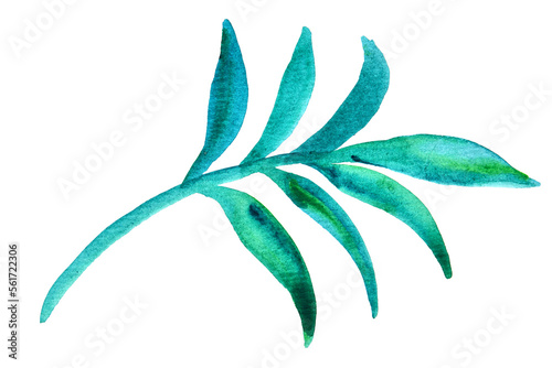 Green leaves watercolor clipart on white. Hand drawn illustration of summer greenery.