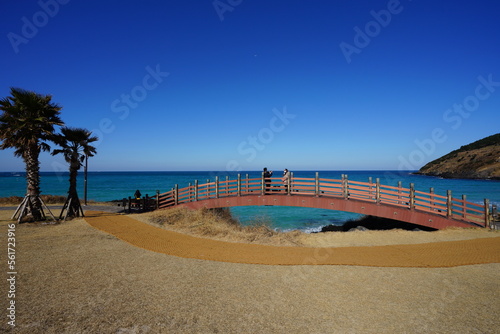 fine seaside bridge and distant island