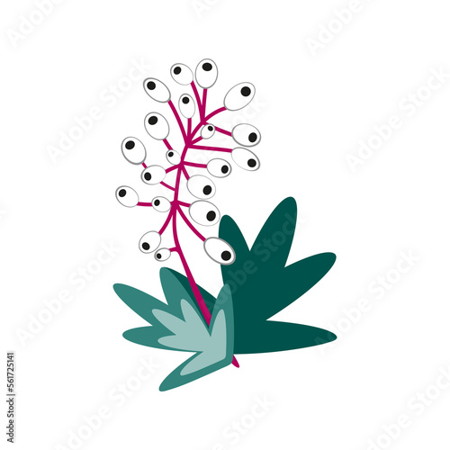 Vector illustration of a plant. White baneberry or doll's eyes. Poisonous plant. Isolated on a white background.