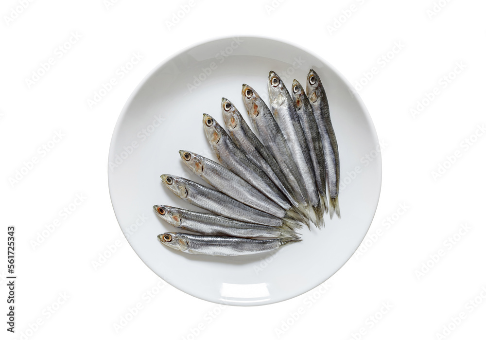 European anchovy, hamsa fresh, source of omega 3, several small fish laid out on white plate, isolated on white background with clipping path