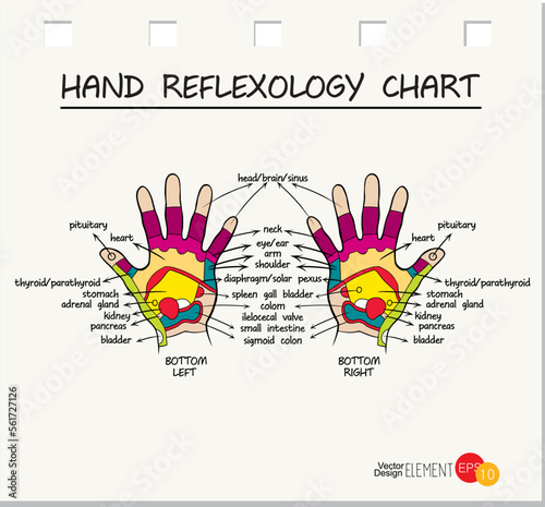 sketch of hand, massage reflexology, vector illustration