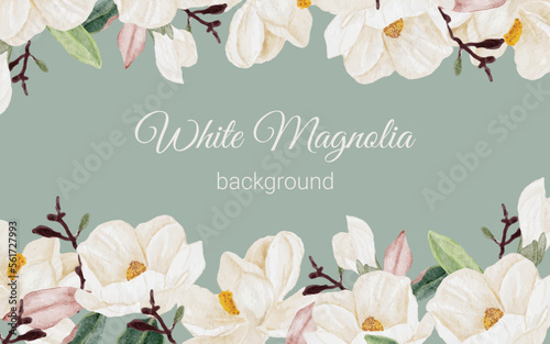 watercolor white magnolia flower branch bouquet background