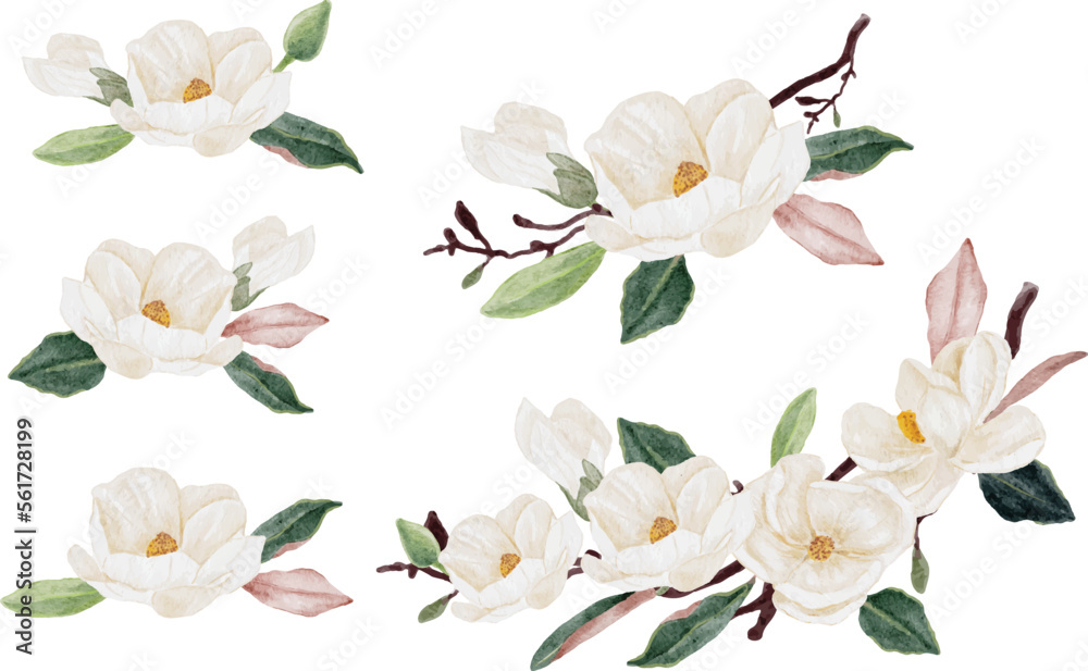 watercolor white magnolia flower and leaf bouquet clipart collection isolated on white background - obrazy, fototapety, plakaty 