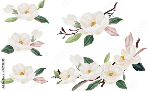 watercolor white magnolia flower and leaf bouquet clipart collection isolated on white background