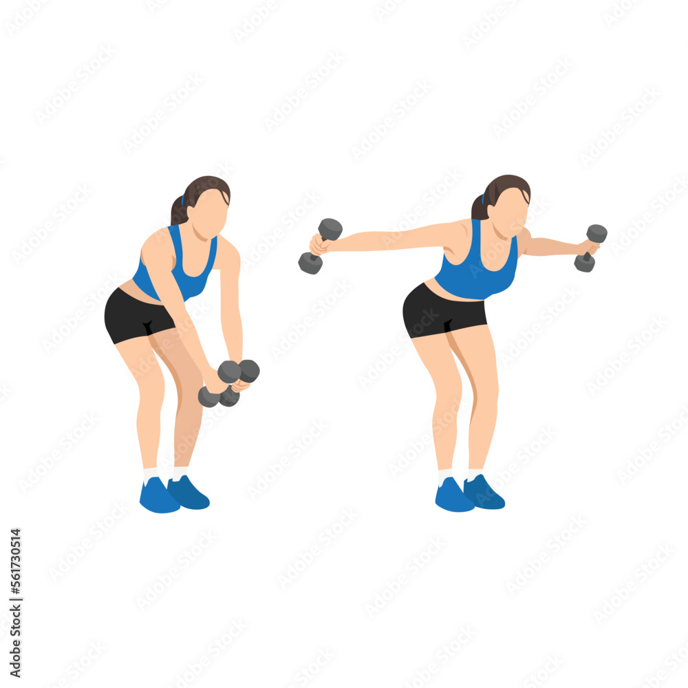 Woman doing Dumbbell bent over reverse flyes. Flat vector illustration isolated on white background Woman doing Dumbbell bent over reverse flyes. Flat vector illustration isolated on white background