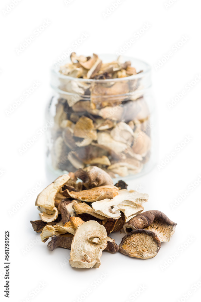 Various sliced dried mushrooms isolated on white background. Various sliced dried mushrooms isolated on white background.