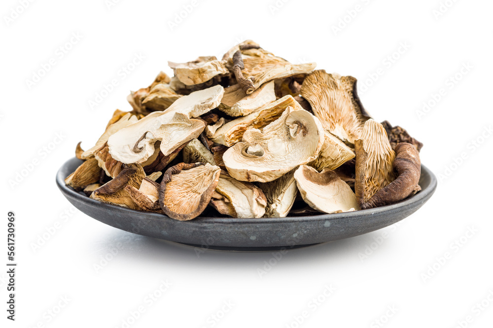 Various sliced dried mushrooms in plate isolated on white background. Various sliced dried mushrooms in plate isolated on white background.