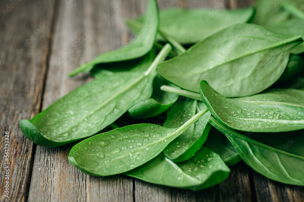 Wet fresh green baby spinach leaves on a wooden background. Wet fresh green baby spinach leaves on a wooden background.