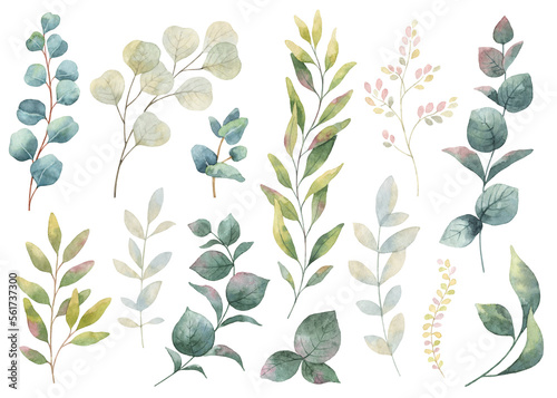 Obraz na płótnie Watercolor set of eucalyptus branches and leaves