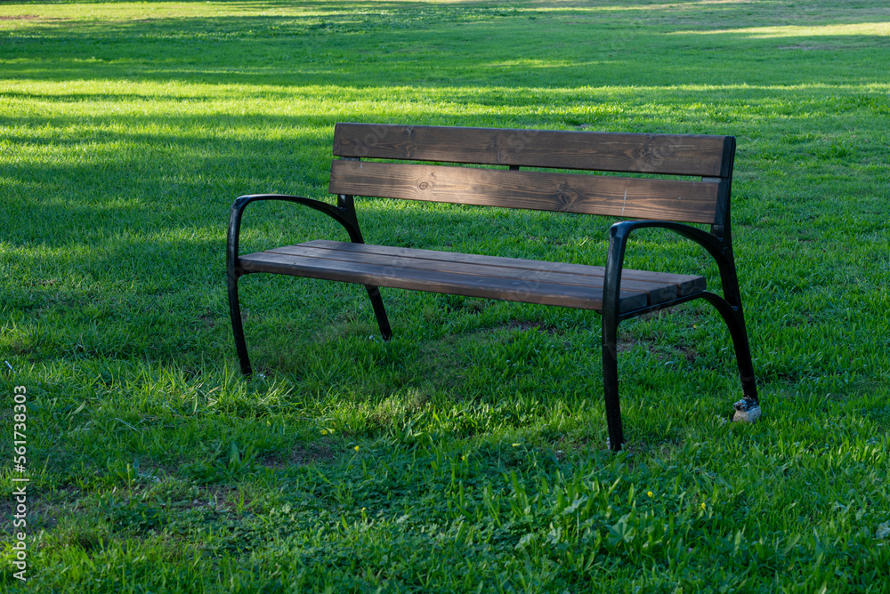 wooden bench in the park on the green grass wooden bench in the park on the green grass